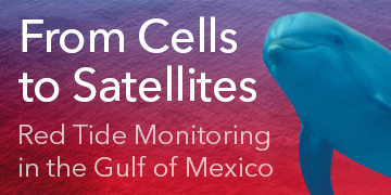 Red Tide Monitoring in the Gulf of Mexico | From Cells to Satellites